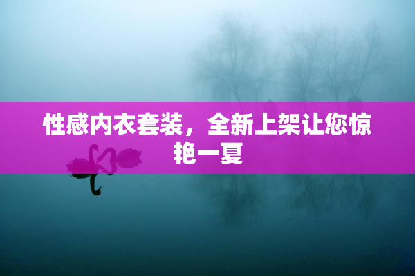 性感内衣套装，全新上架让您惊艳一夏