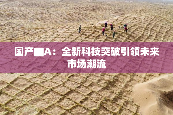 国产▇A：全新科技突破引领未来市场潮流