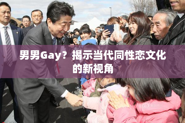 男男Gay？揭示当代同性恋文化的新视角