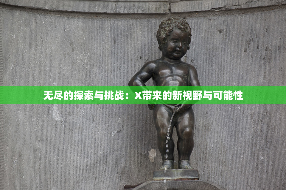 无尽的探索与挑战：X带来的新视野与可能性