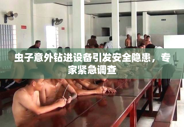 虫子意外钻进设备引发安全隐患，专家紧急调查