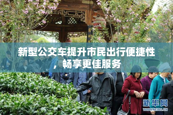 新型公交车提升市民出行便捷性，畅享更佳服务