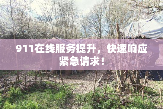 911在线服务提升，快速响应紧急请求！