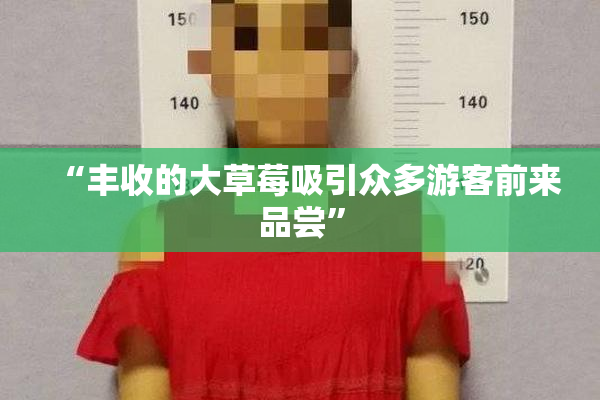 “丰收的大草莓吸引众多游客前来品尝”
