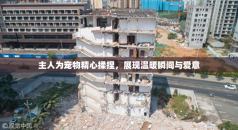 主人为宠物精心揉捏，展现温暖瞬间与爱意
