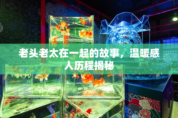 老头老太在一起的故事，温暖感人历程揭秘