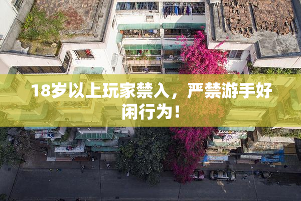 18岁以上玩家禁入，严禁游手好闲行为！
