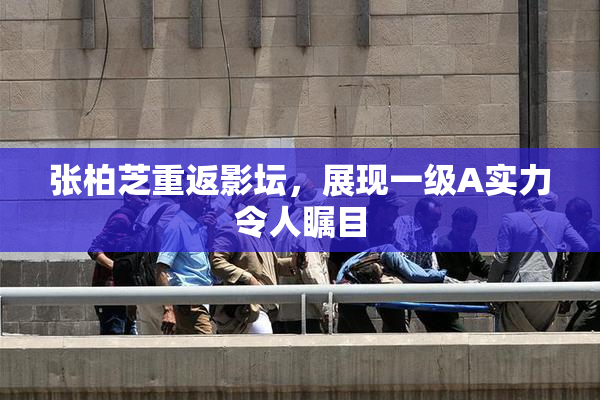 张柏芝重返影坛，展现一级A实力令人瞩目