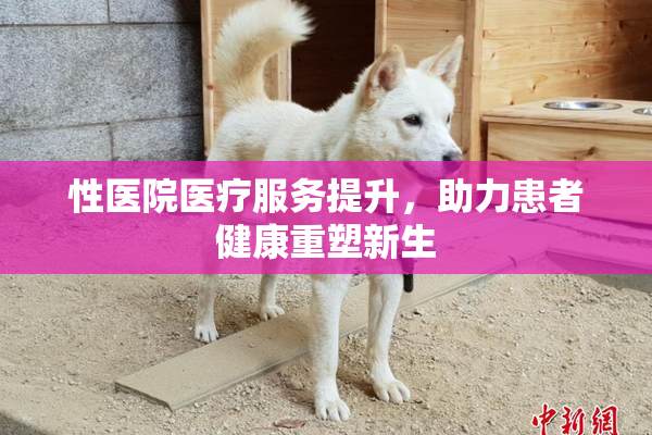 性医院医疗服务提升，助力患者健康重塑新生