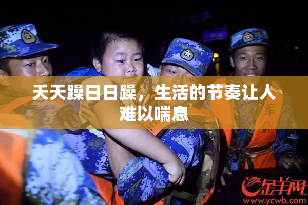 天天躁日日躁，生活的节奏让人难以喘息