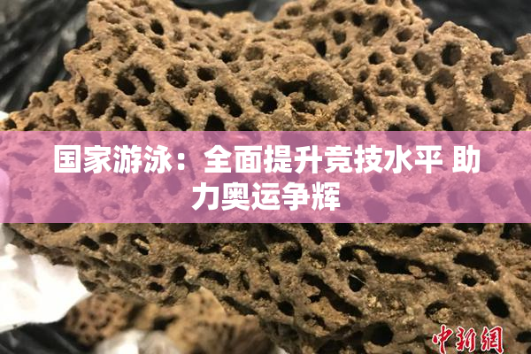 国家游泳：全面提升竞技水平 助力奥运争辉