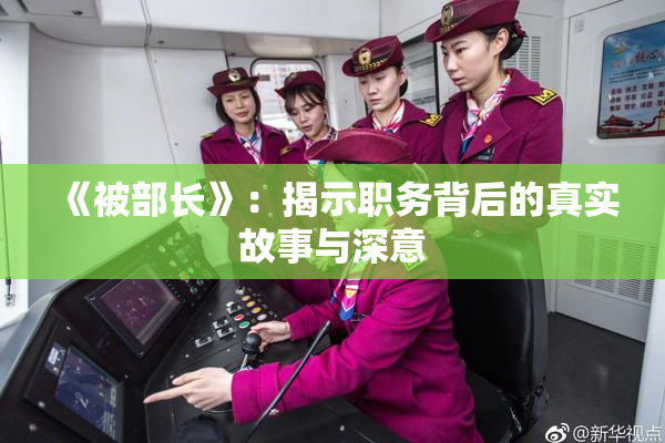《被部长》：揭示职务背后的真实故事与深意