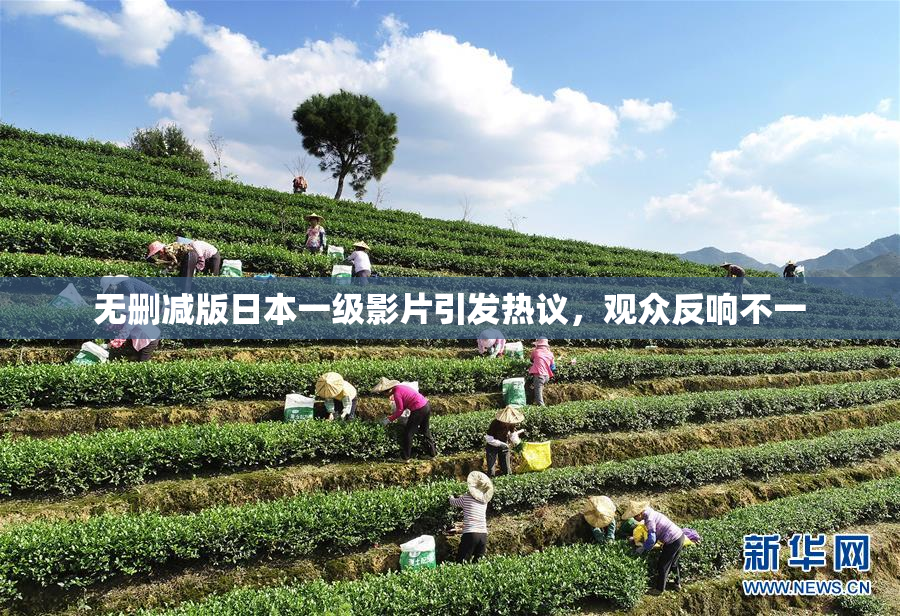 无删减版日本一级影片引发热议，观众反响不一