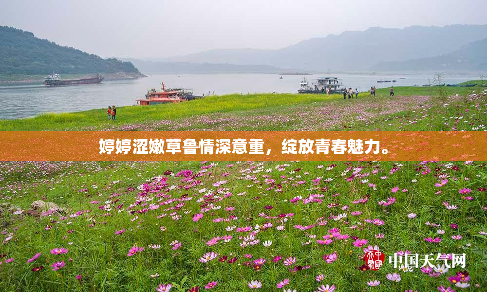 婷婷涩嫩草鲁情深意重，绽放青春魅力。