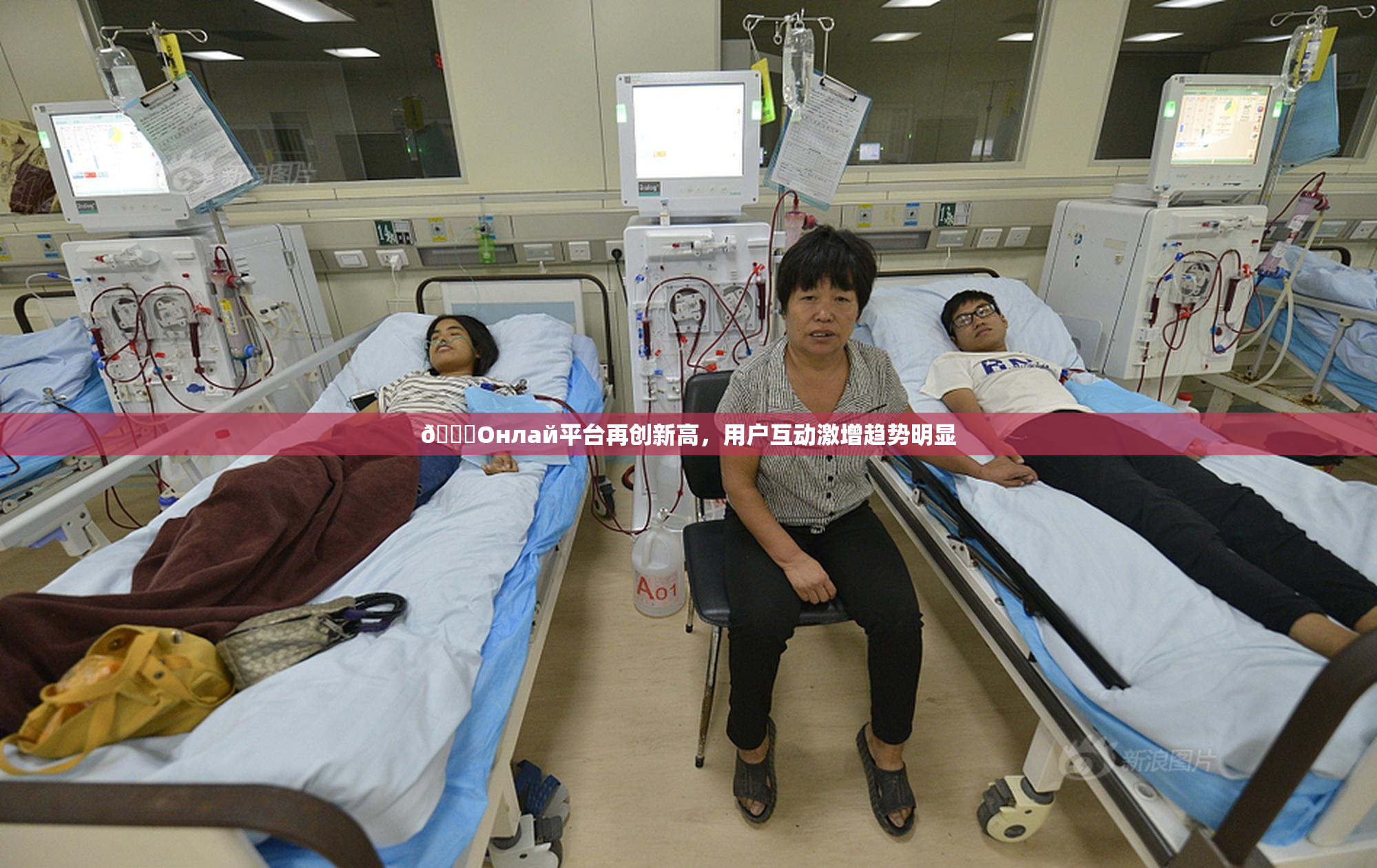 🐔Oнлай平台再创新高，用户互动激增趋势明显