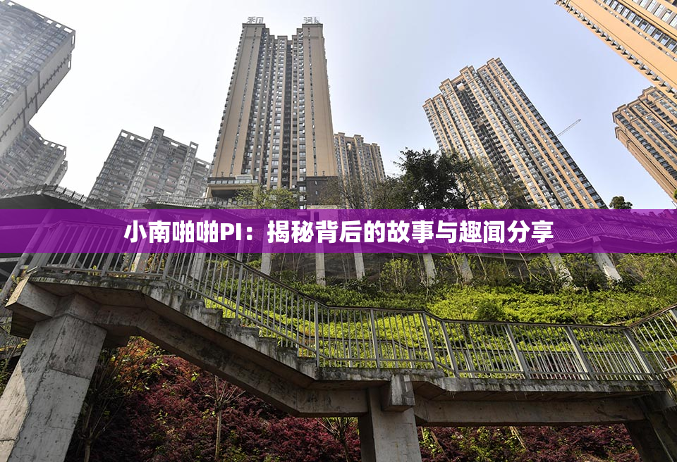 小南啪啪PI：揭秘背后的故事与趣闻分享