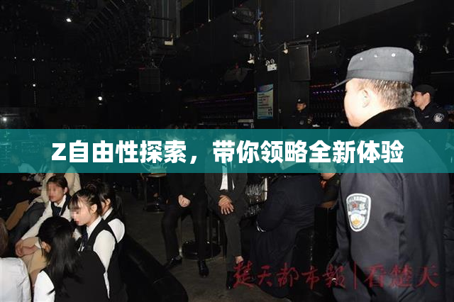Z自由性探索，带你领略全新体验
