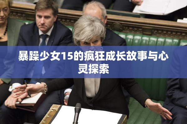 暴躁少女15的疯狂成长故事与心灵探索