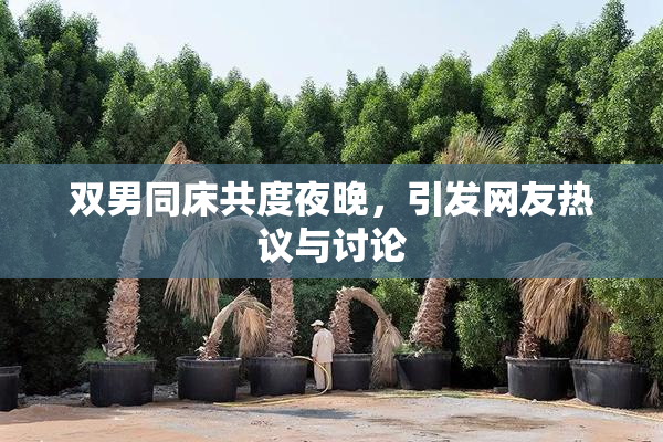 双男同床共度夜晚，引发网友热议与讨论