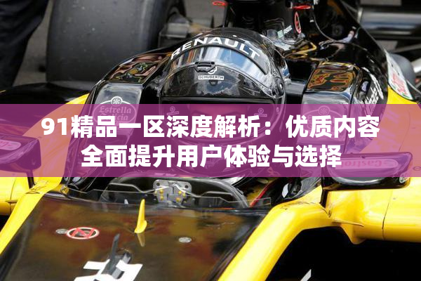 91精品一区深度解析：优质内容全面提升用户体验与选择