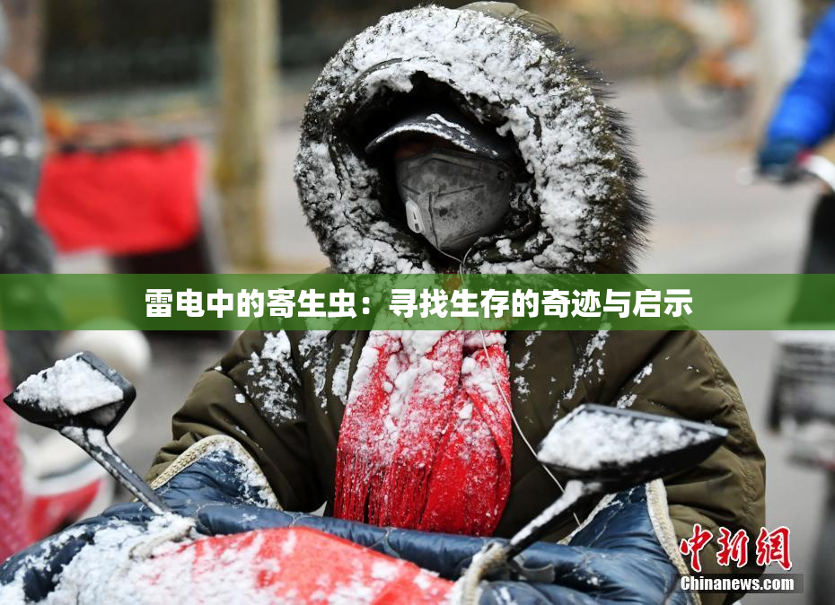 雷电中的寄生虫：寻找生存的奇迹与启示