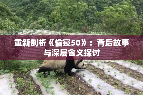 重新剖析《偷窥50》：背后故事与深层含义探讨
