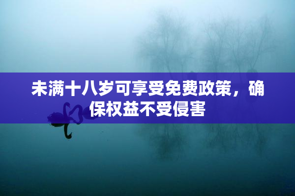 未满十八岁可享受免费政策，确保权益不受侵害