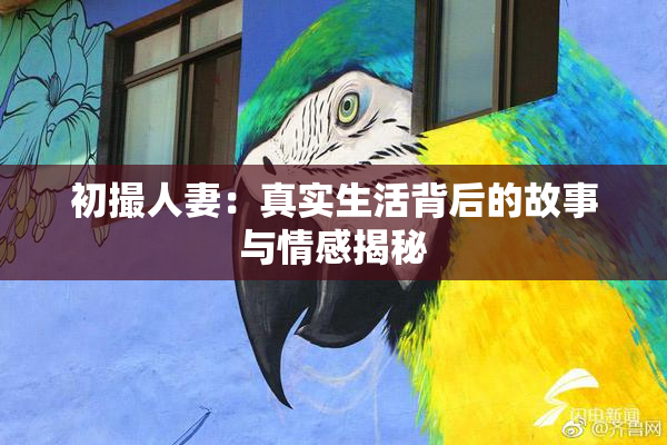 初撮人妻：真实生活背后的故事与情感揭秘