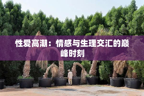 性爱高潮：情感与生理交汇的巅峰时刻