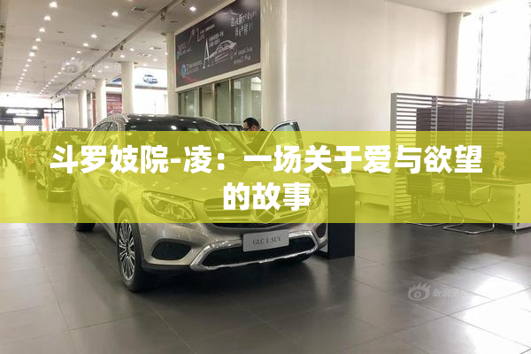 斗罗妓院-凌：一场关于爱与欲望的故事