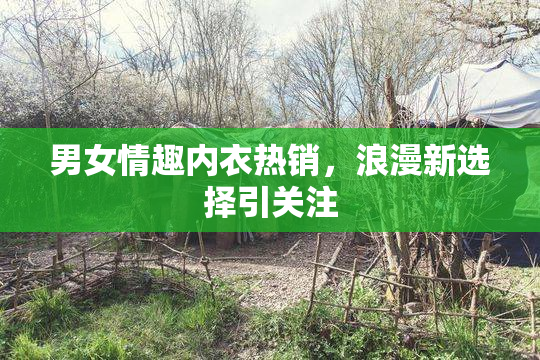 男女情趣内衣热销，浪漫新选择引关注