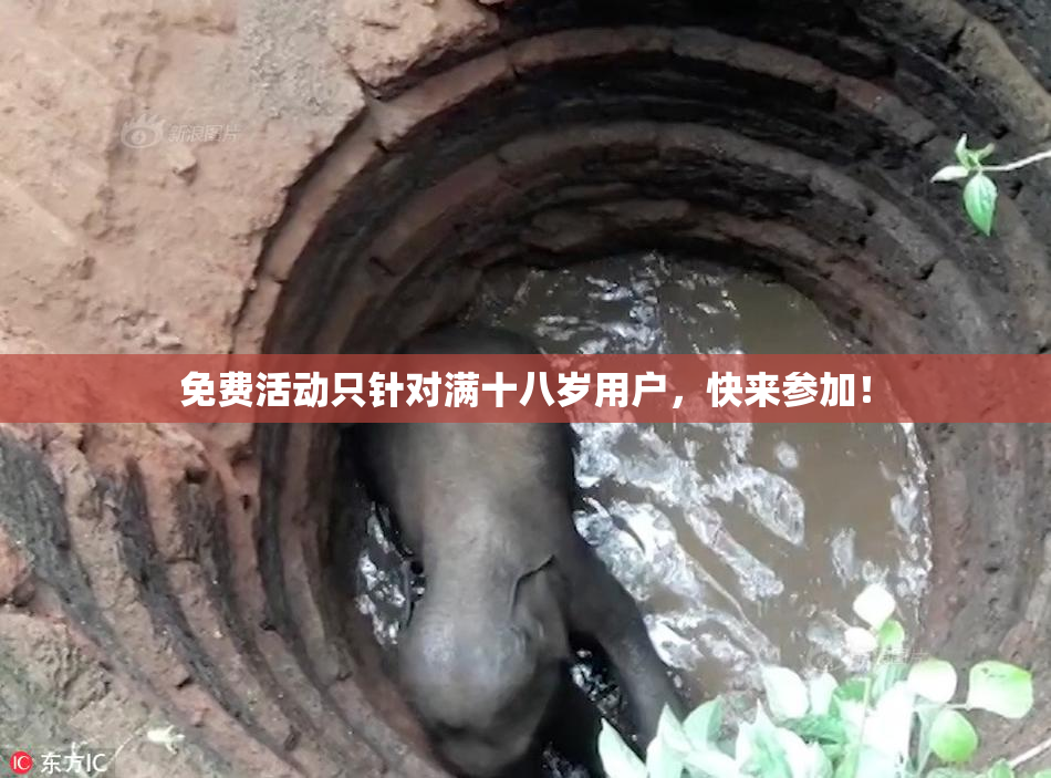 免费活动只针对满十八岁用户，快来参加！