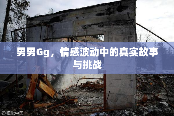 男男Gg，情感波动中的真实故事与挑战