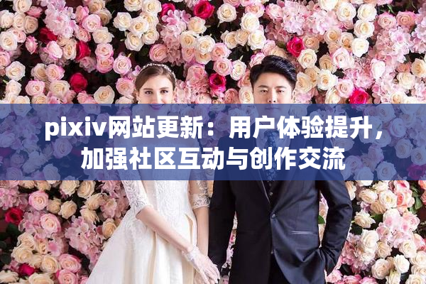 pixiv网站更新：用户体验提升，加强社区互动与创作交流