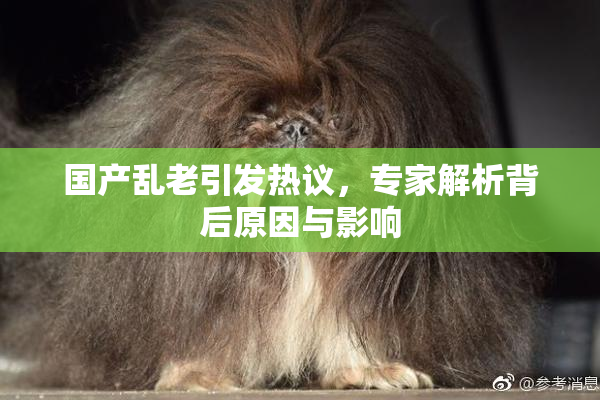 国产乱老引发热议，专家解析背后原因与影响