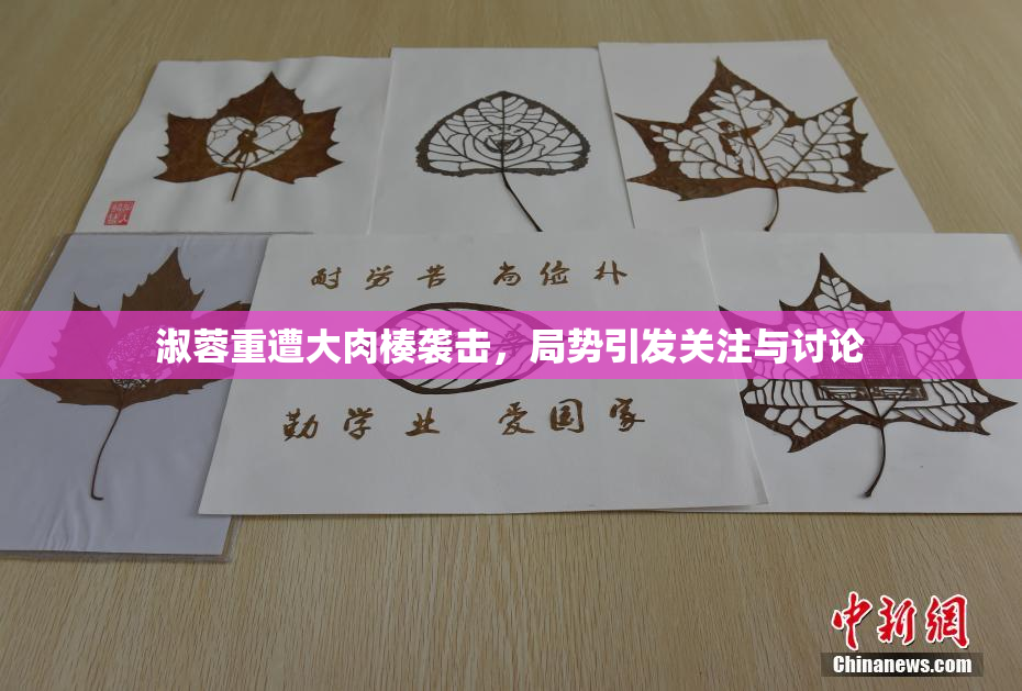 淑蓉重遭大肉楱袭击，局势引发关注与讨论