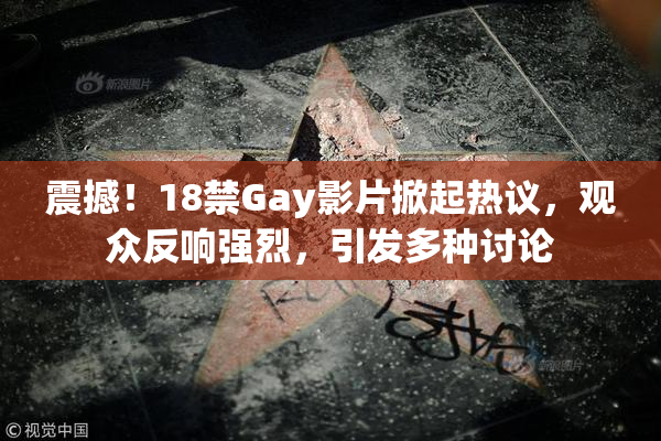 震撼！18禁Gay影片掀起热议，观众反响强烈，引发多种讨论