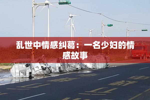 乱世中情感纠葛：一名少妇的情感故事