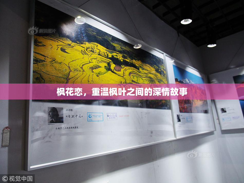 枫花恋，重温枫叶之间的深情故事