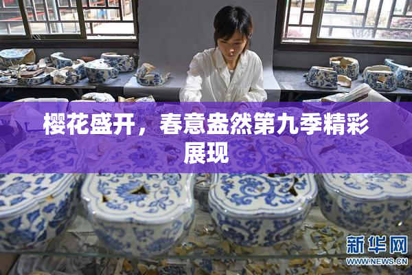 樱花盛开，春意盎然第九季精彩展现