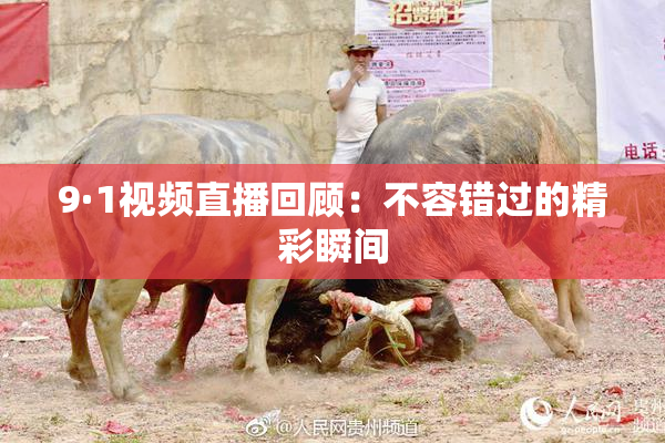 9·1视频直播回顾：不容错过的精彩瞬间