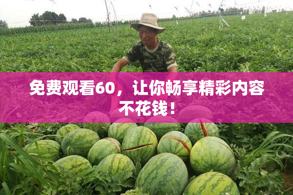 免费观看60，让你畅享精彩内容不花钱！