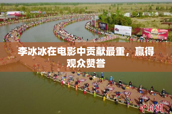 李冰冰在电影中贡献最重，赢得观众赞誉