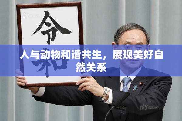 人与动物和谐共生，展现美好自然关系