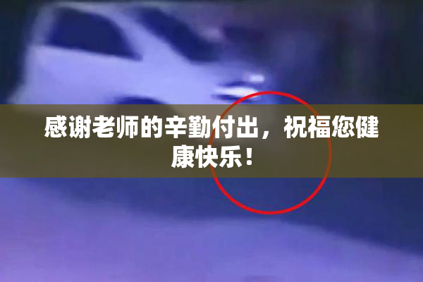 感谢老师的辛勤付出，祝福您健康快乐！