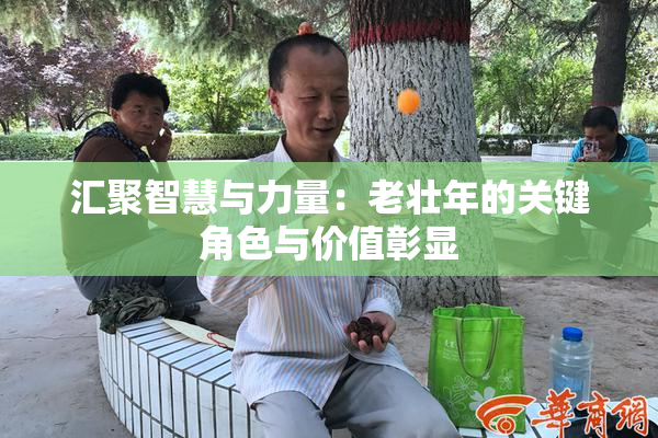 汇聚智慧与力量：老壮年的关键角色与价值彰显