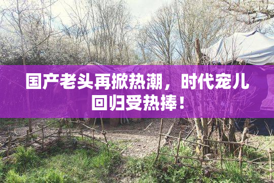 国产老头再掀热潮，时代宠儿回归受热捧！