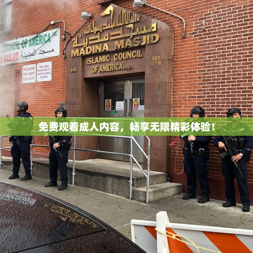 免费观看成人内容，畅享无限精彩体验！