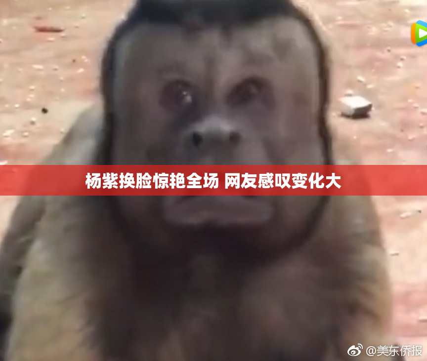 杨紫换脸惊艳全场 网友感叹变化大