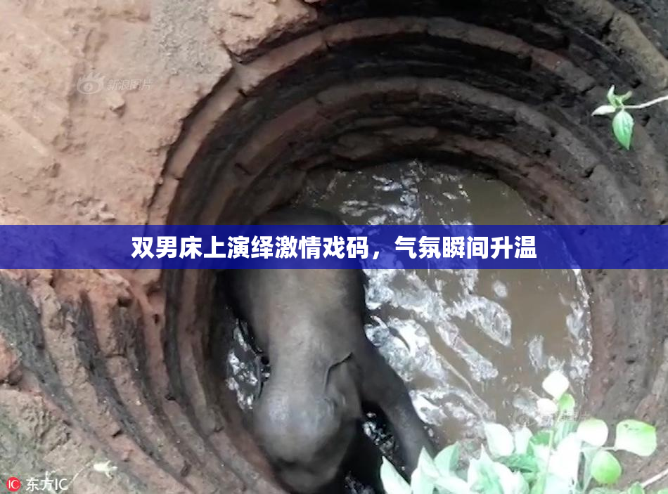双男床上演绎激情戏码，气氛瞬间升温